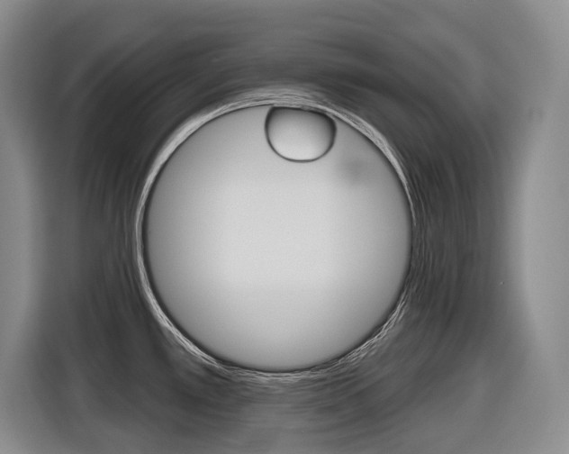 X0000116571389200912100955