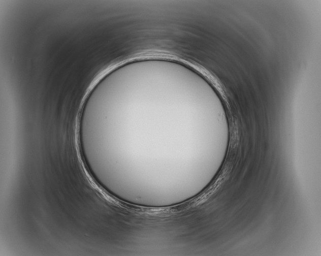 X0000116571390200912100954
