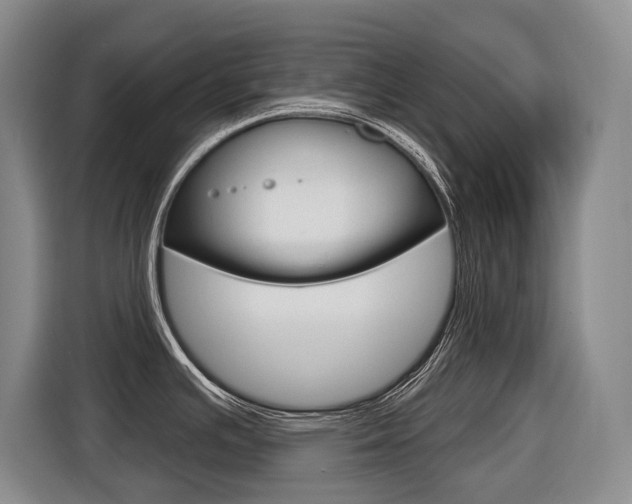 X0000116571391200912100954