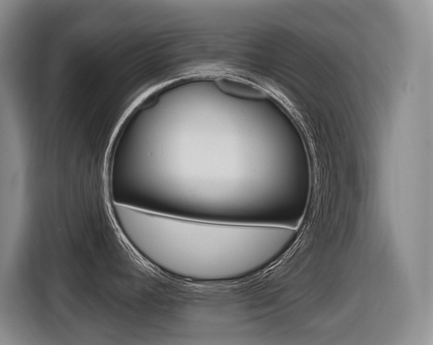 X0000116571392200912100954