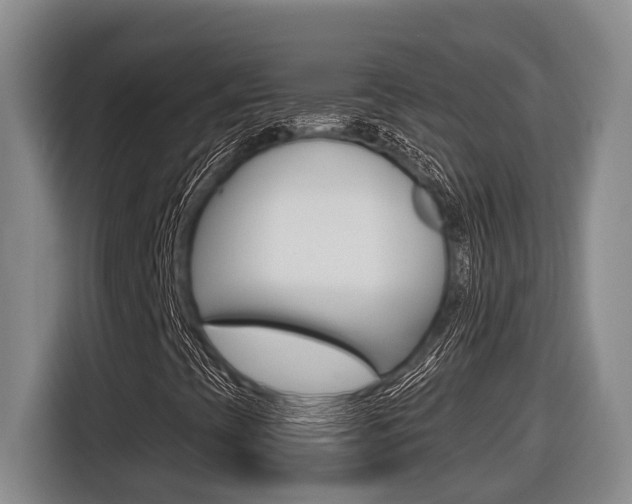 X0000116571393200912100954