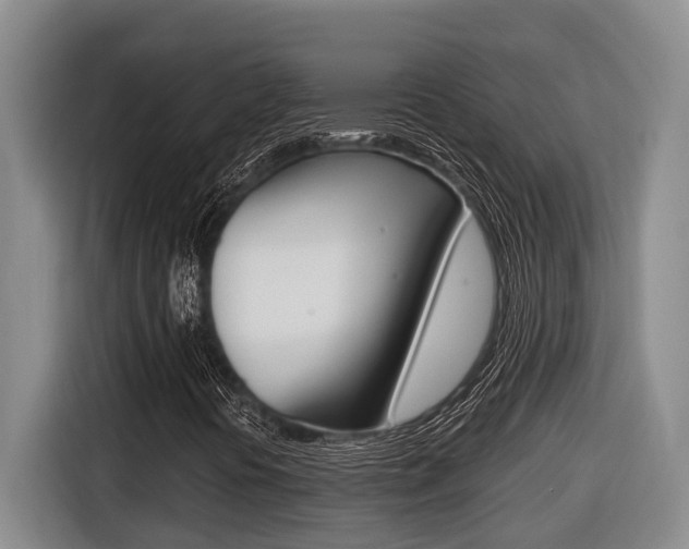 X0000116571394200912100954