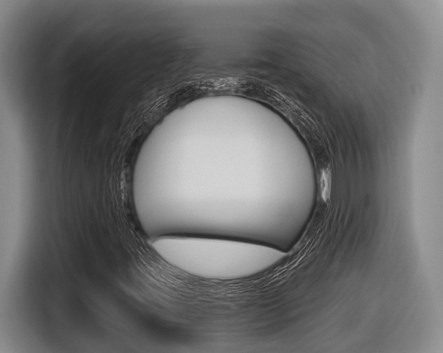 X0000116571395200912100954