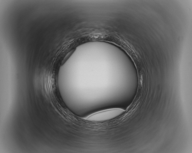 X0000116571396200912100954