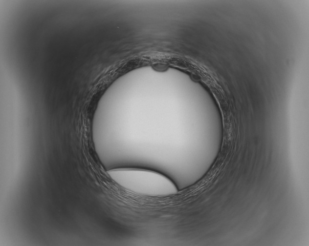 X0000116571397200912100954