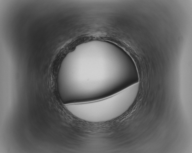 X0000116571398200912100954