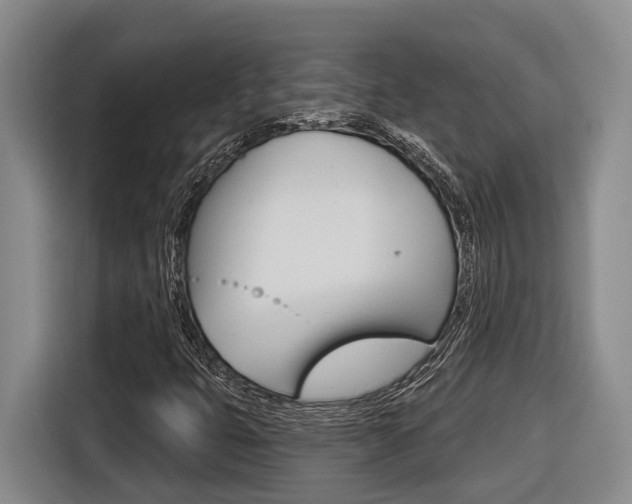 X0000116571399200912100954