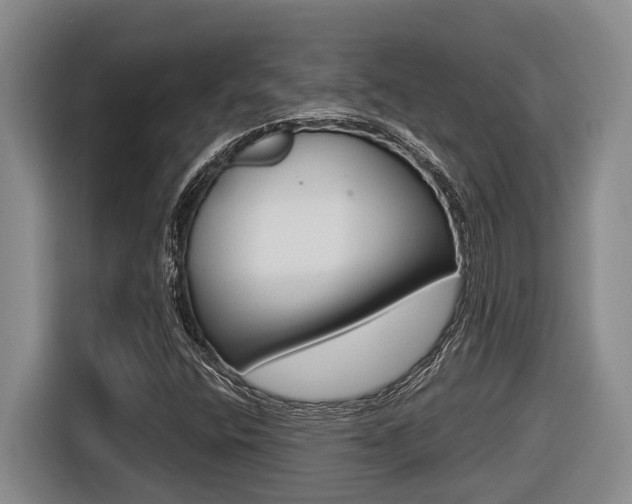 X0000116571400200912100954