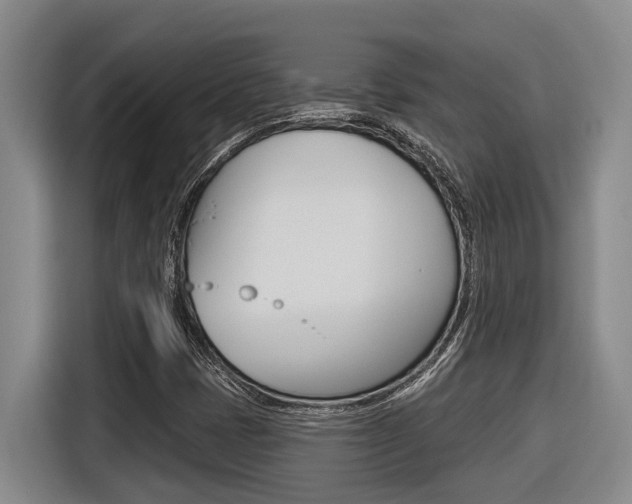 X0000116571401200912100954