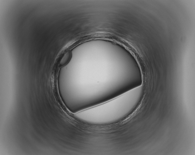 X0000116571402200912100954