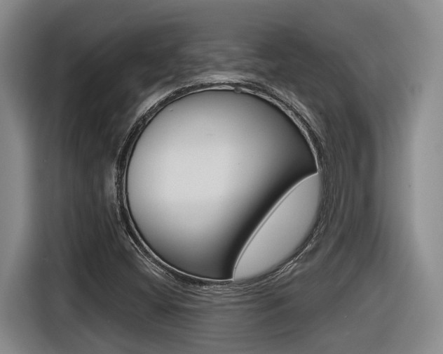 X0000116571404200912100954