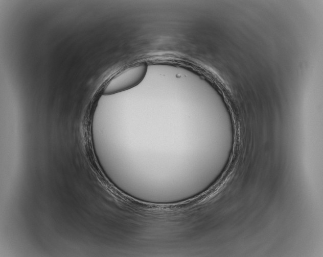 X0000116571405200912100954