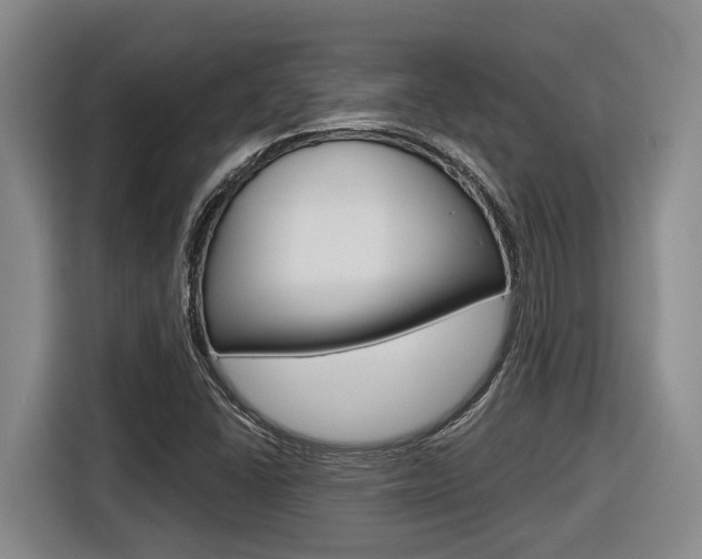 X0000116571406200912100954