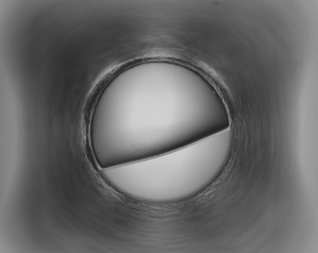 X0000116571408200912100954