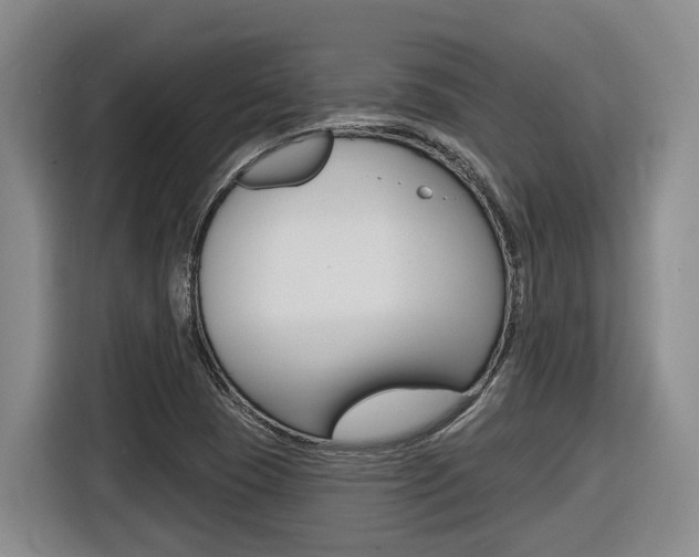 X0000116571409200912100954