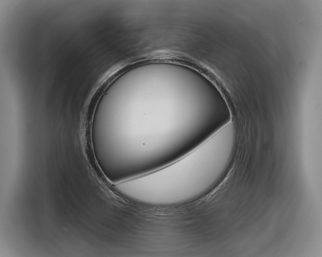 X0000116571410200912100954
