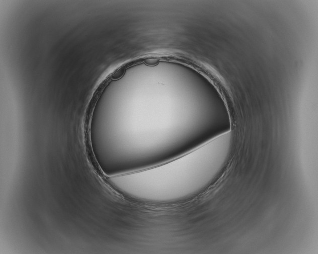 X0000116571412200912100954