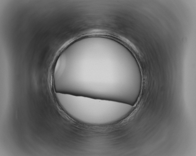X0000116571413200912100954