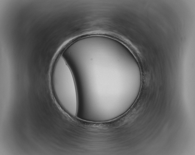 X0000116571416200912100954