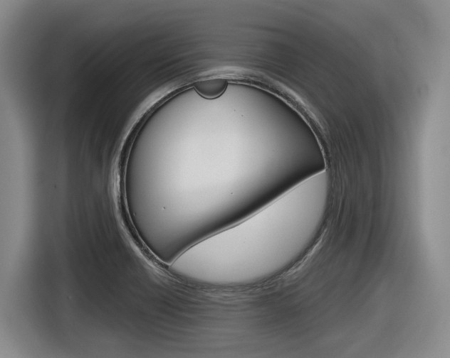 X0000116571418200912100954