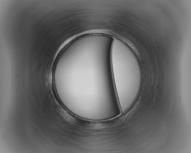 X0000116571420200912100954