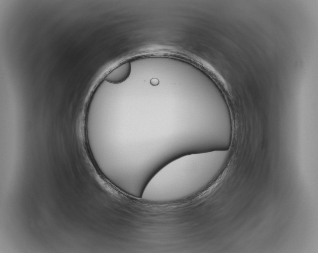 X0000116571421200912100954