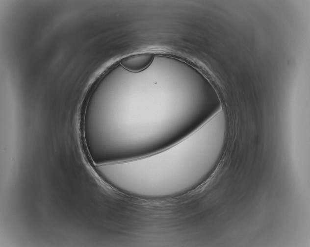 X0000116571422200912100954