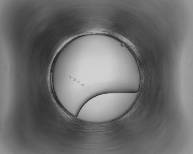 X0000116571423200912100954