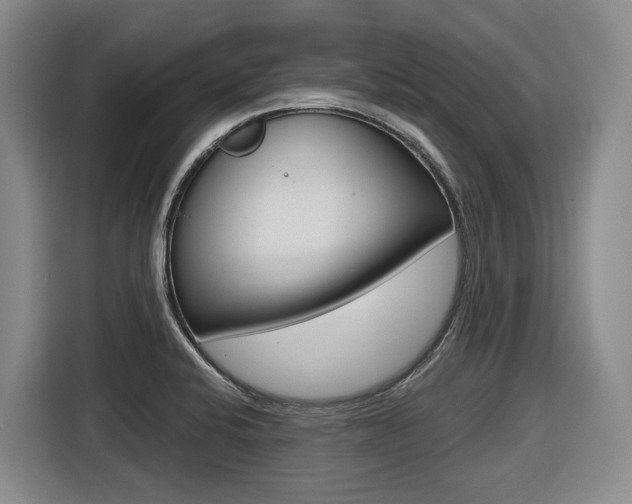 X0000116571424200912100954