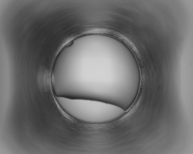 X0000116571425200912100954