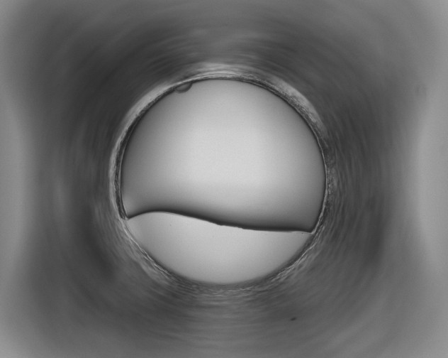 X0000116571427200912100954