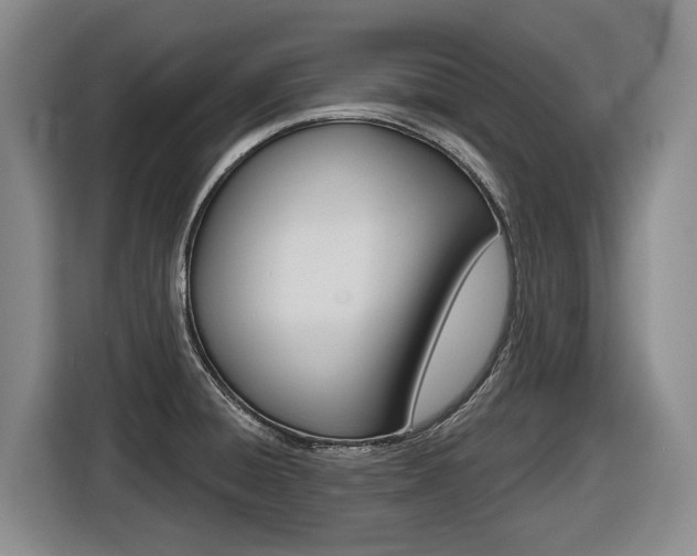 X0000116571428200912100954