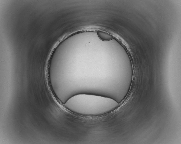 X0000116571429200912100954