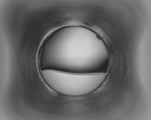 X0000116571430200912100954