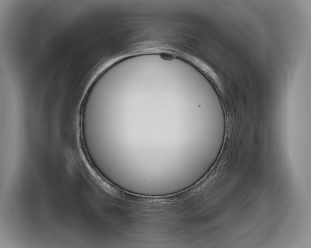 X0000116571431200912100954