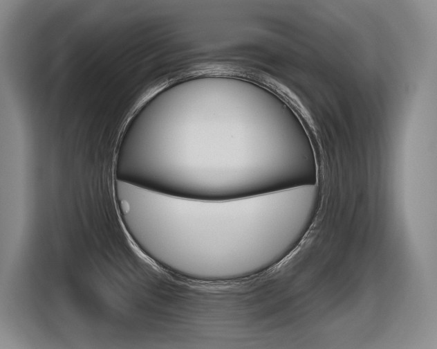 X0000116571433200912100954