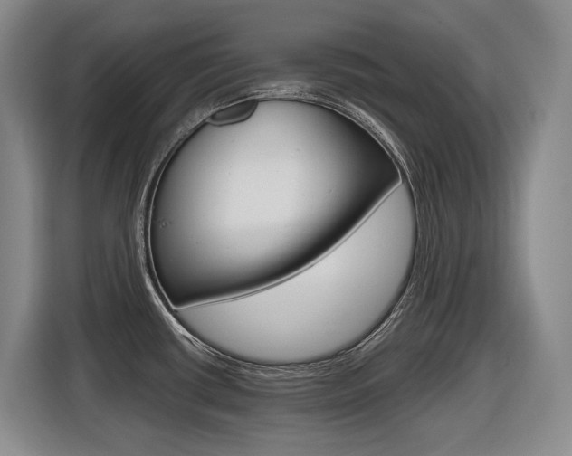 X0000116571434200912100954
