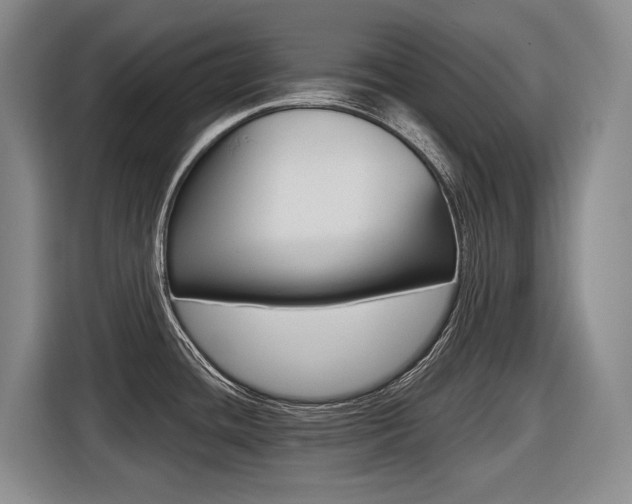 X0000116571436200912100954