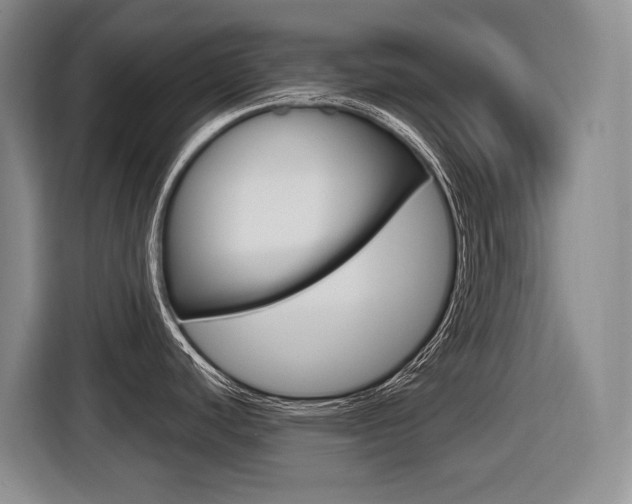 X0000116571440200912100954