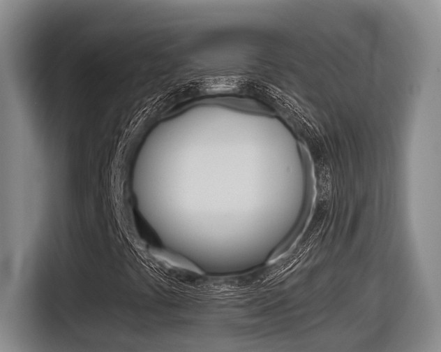 X0000116571441200912100954
