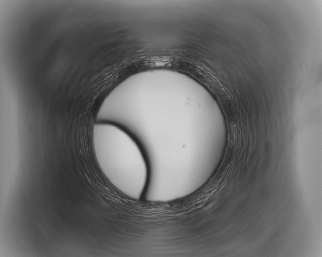 X0000116571442200912100954