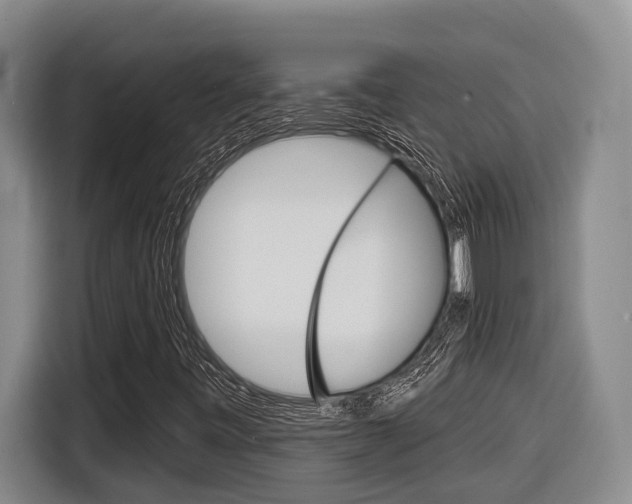 X0000116571443200912100954