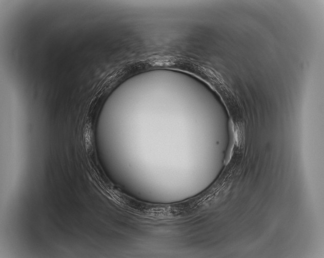 X0000116571444200912100954