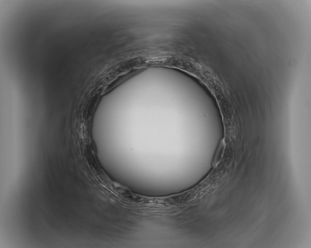 X0000116571445200912100954
