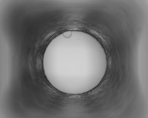 X0000116571446200912100954