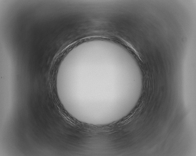 X0000116571448200912100954