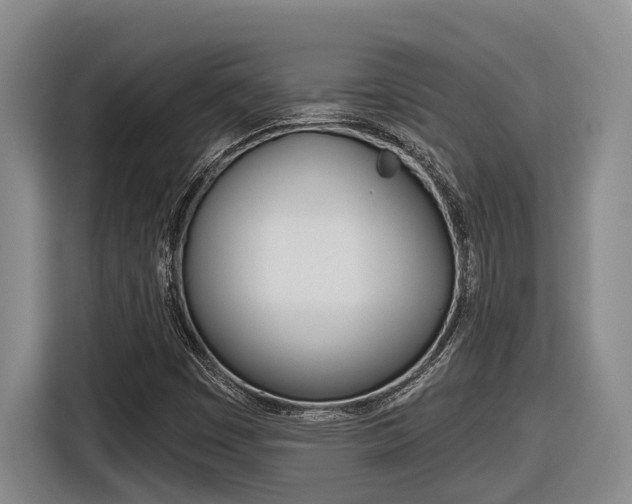 X0000116571449200912100954