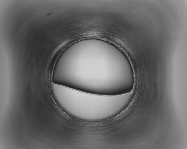 X0000116571450200912100954