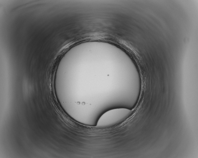 X0000116571451200912100954