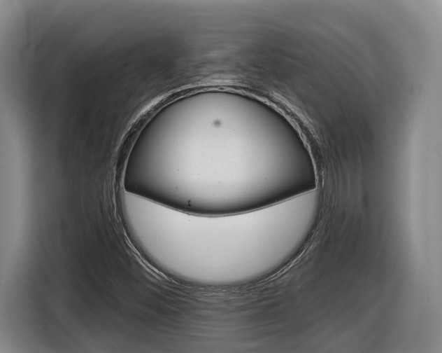 X0000116571452200912100954